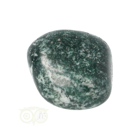 Tree Agate Tumbled Stone No. 12