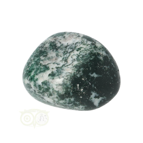 Tree Agate Tumbled Stone No. 12