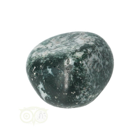 Tree Agate Tumbled Stone No. 12