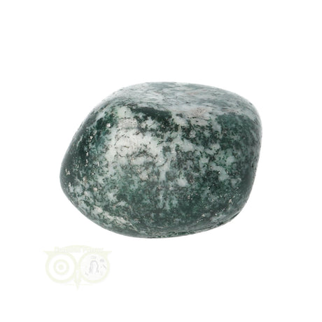Tree Agate Tumbled Stone No. 12