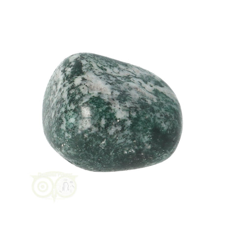 Tree Agate Tumbled Stone No. 12
