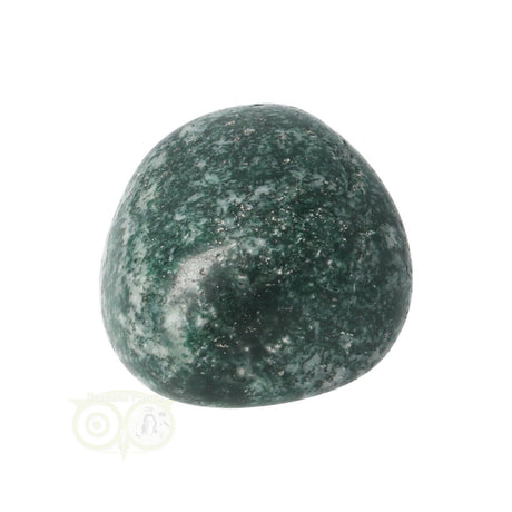 Tree Agate Tumbled Stone No. 12