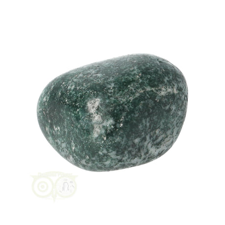 Tree Agate Tumbled Stone No. 12