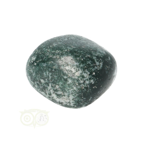 Tree Agate Tumbled Stone No. 12