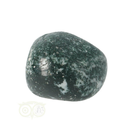 Tree Agate Tumbled Stone No. 12