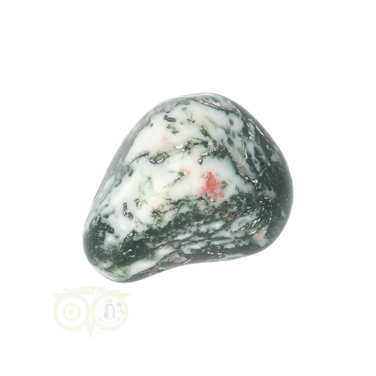 Tree Agate Tumbled Stone No. 15