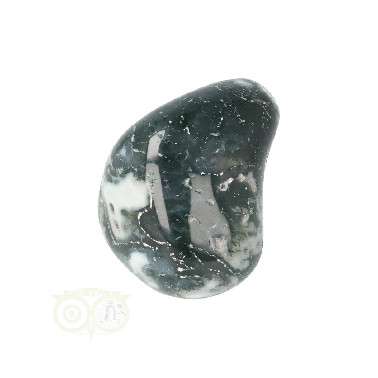 Tree Agate Tumbled Stone No. 15
