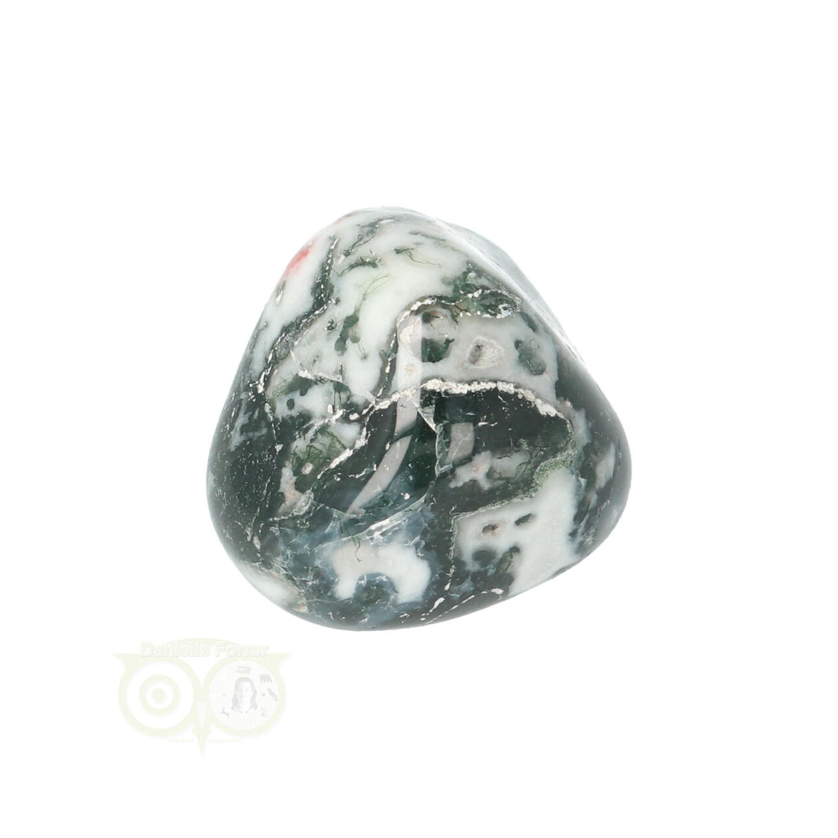 Tree Agate Tumbled Stone No. 15