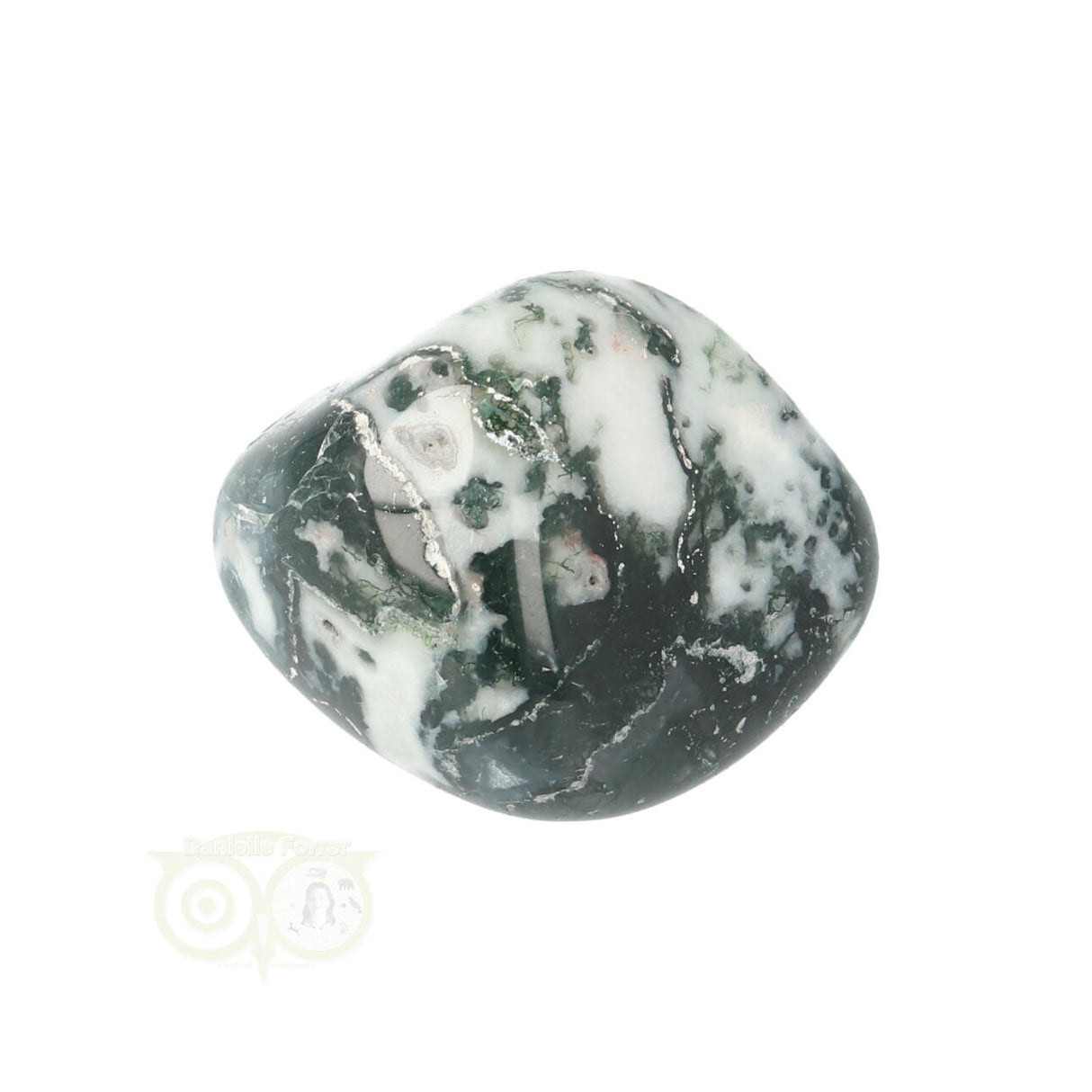 Tree Agate Tumbled Stone No. 15