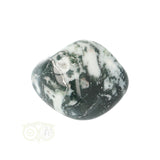 Tree Agate Tumbled Stone No. 15