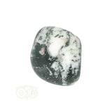 Tree Agate Tumbled Stone No. 15