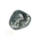 Tree Agate Tumbled Stone No. 15