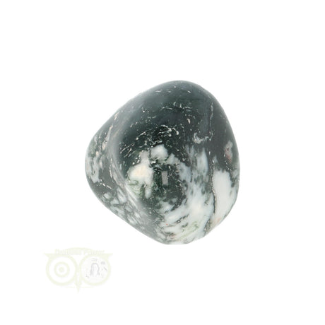 Tree Agate Tumbled Stone No. 15