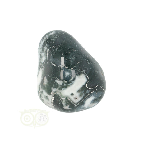 Tree Agate Tumbled Stone No. 15