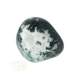 Tree Agate Tumbled Stone No. 16