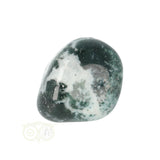 Tree Agate Tumbled Stone No. 16