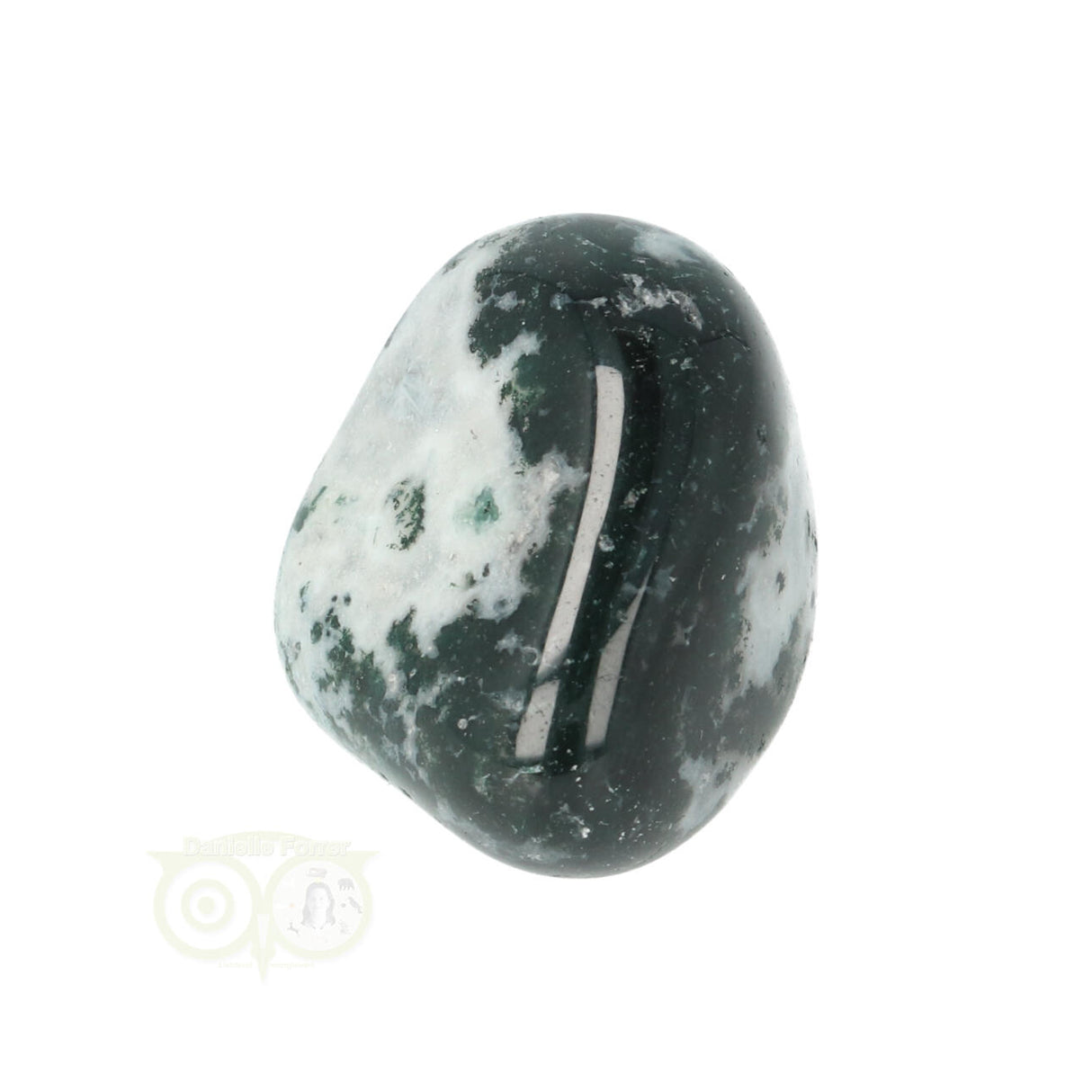 Tree Agate Tumbled Stone No. 16