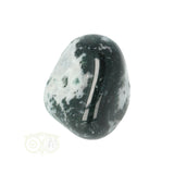 Tree Agate Tumbled Stone No. 16