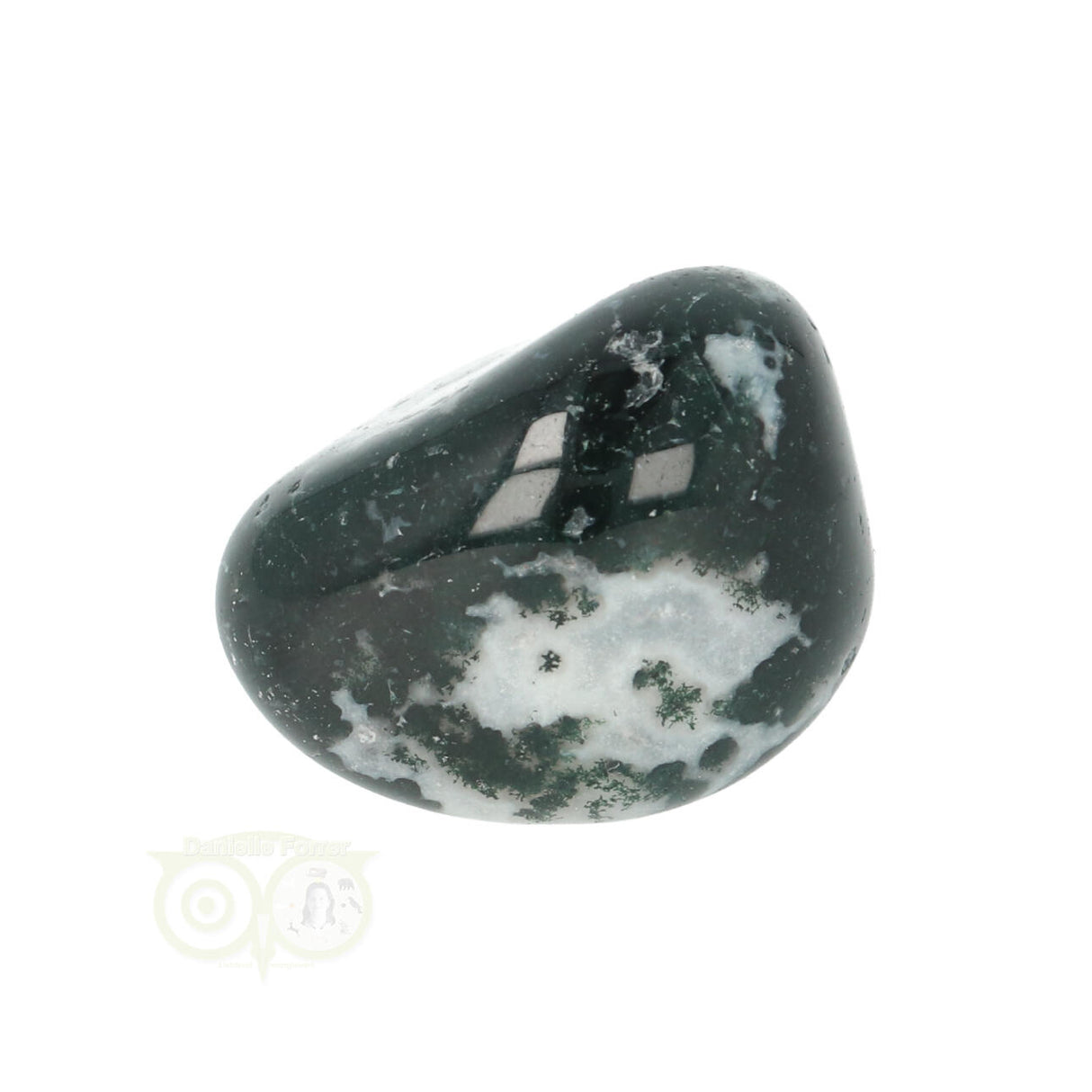 Tree Agate Tumbled Stone No. 16