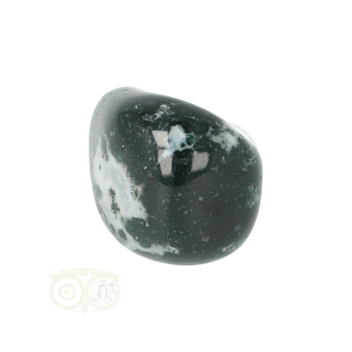 Tree Agate Tumbled Stone No. 16
