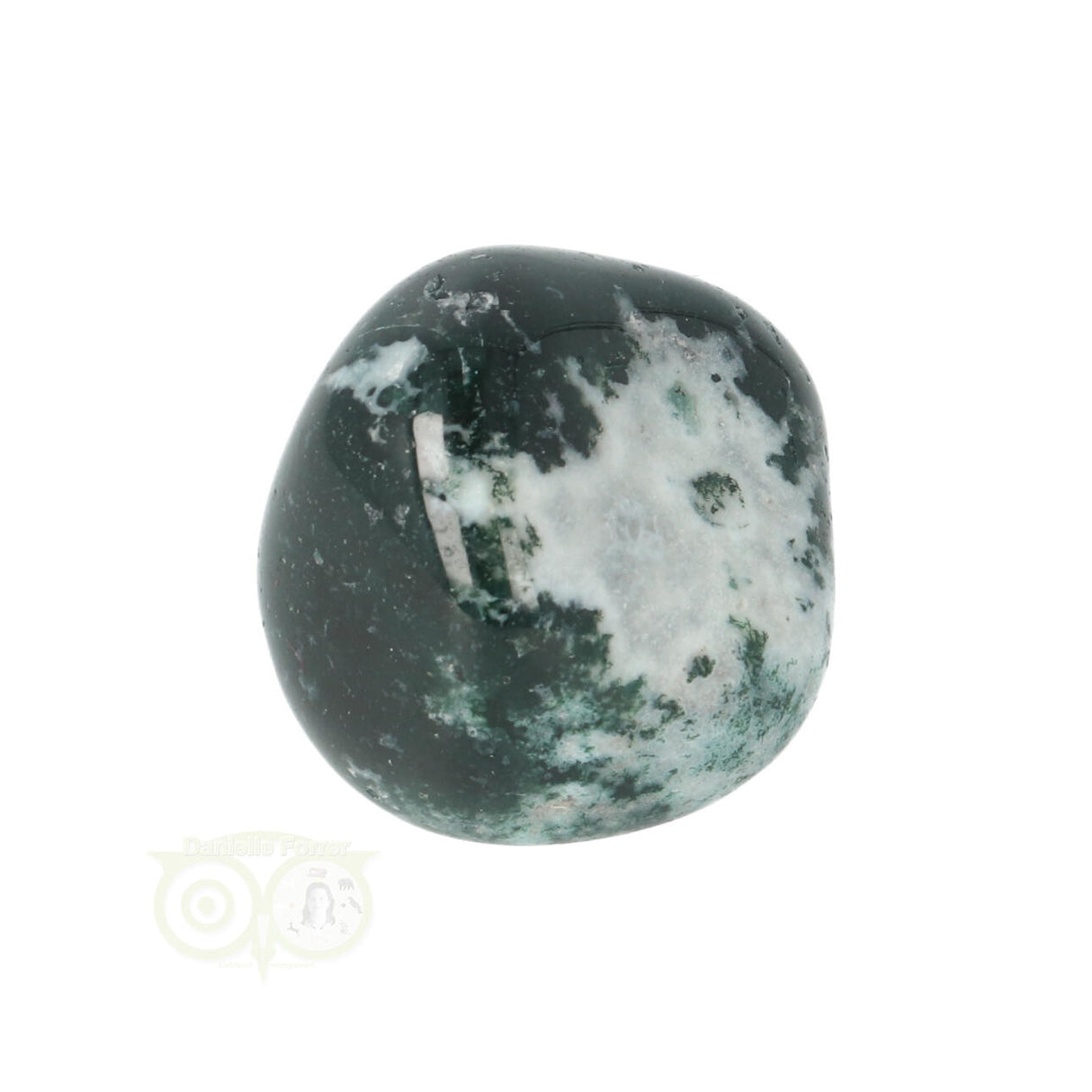Tree Agate Tumbled Stone No. 16
