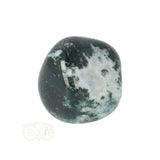 Tree Agate Tumbled Stone No. 16