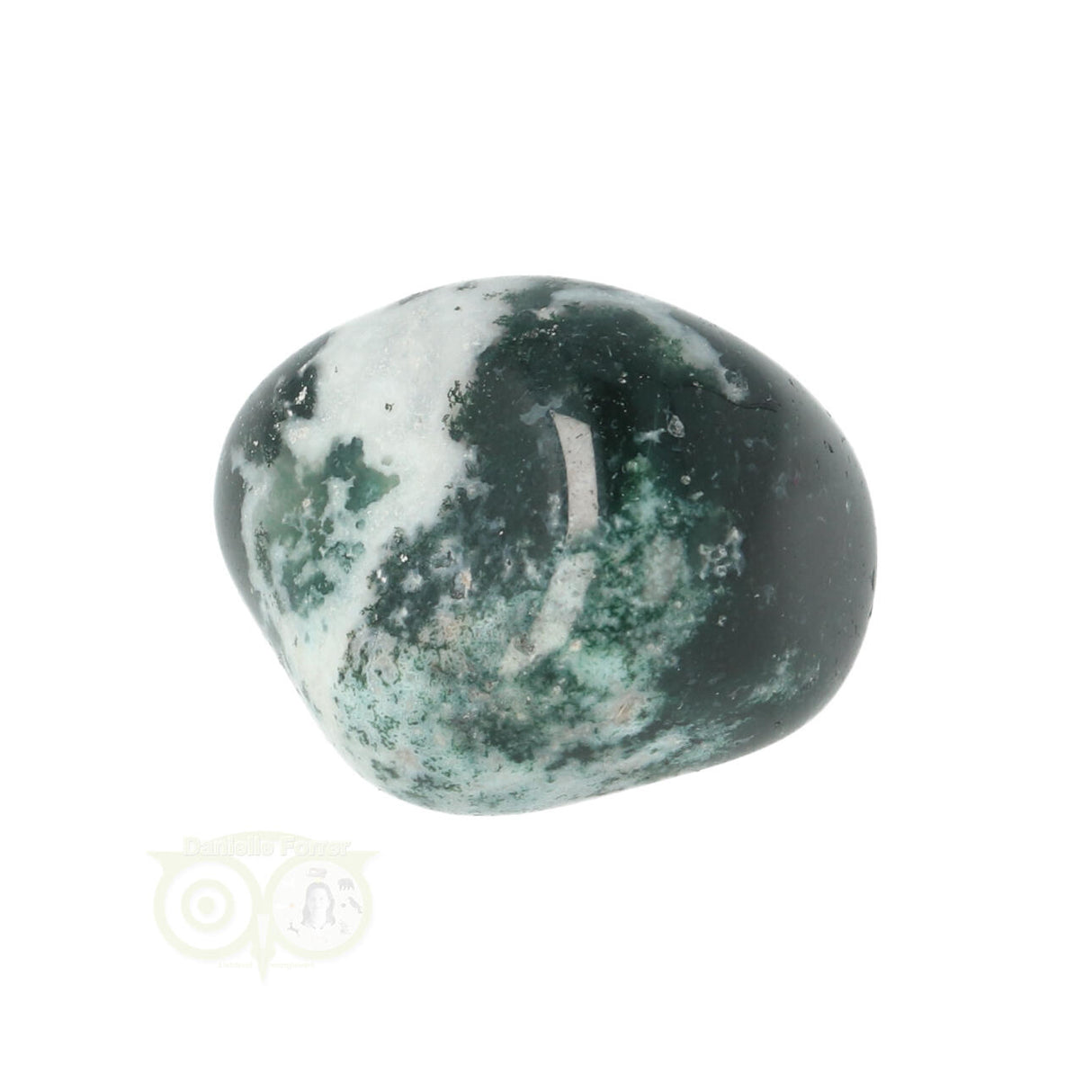 Tree Agate Tumbled Stone No. 16