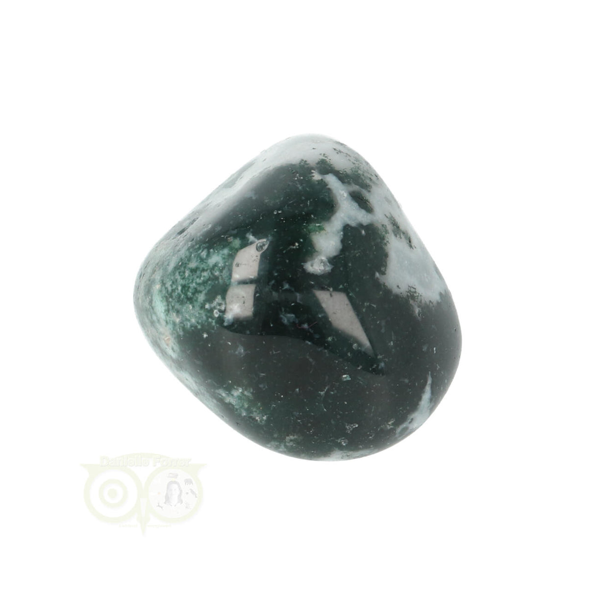 Tree Agate Tumbled Stone No. 16