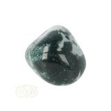 Tree Agate Tumbled Stone No. 16