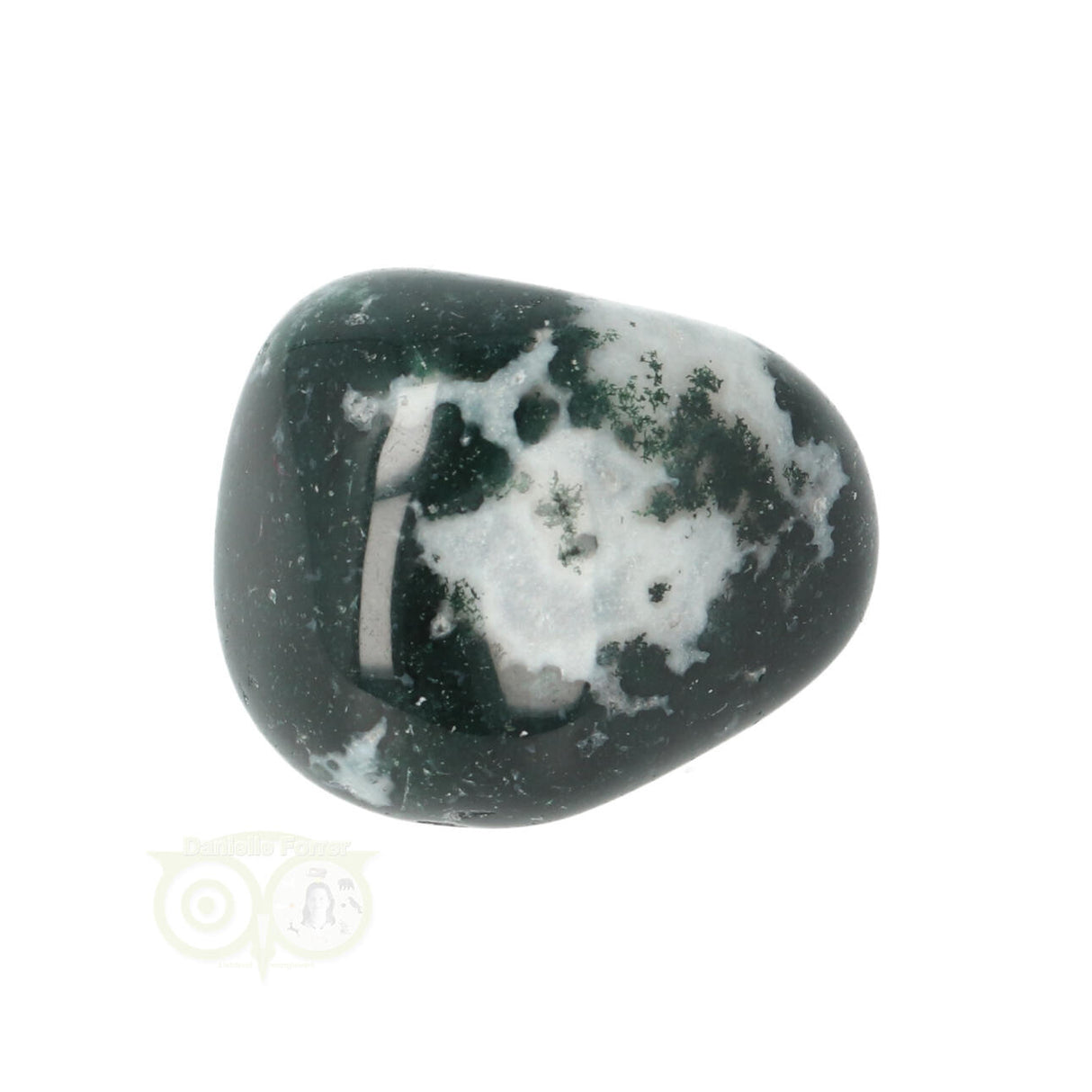 Tree Agate Tumbled Stone No. 16