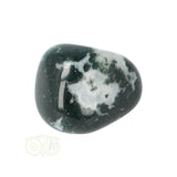 Tree Agate Tumbled Stone No. 16