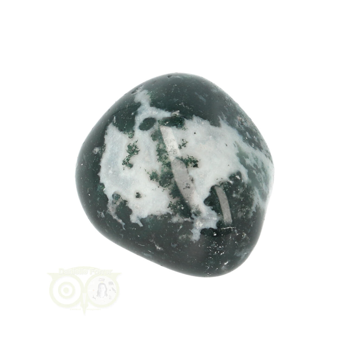 Tree Agate Tumbled Stone No. 16