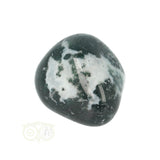 Tree Agate Tumbled Stone No. 16