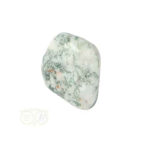 Tree Agate Tumbled Stone No. 17