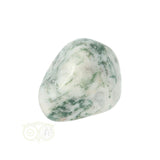 Boom Agaat knuffelsteen Nr 17