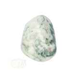 Boom Agaat knuffelsteen Nr 17