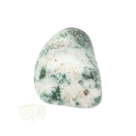 Tree Agate Tumbled Stone No. 18