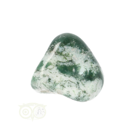 Tree Agate Tumbled Stone No. 18