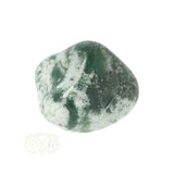 Boom Agaat knuffelsteen Nr 18