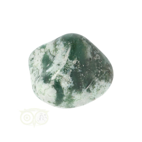Tree Agate Tumbled Stone No. 18