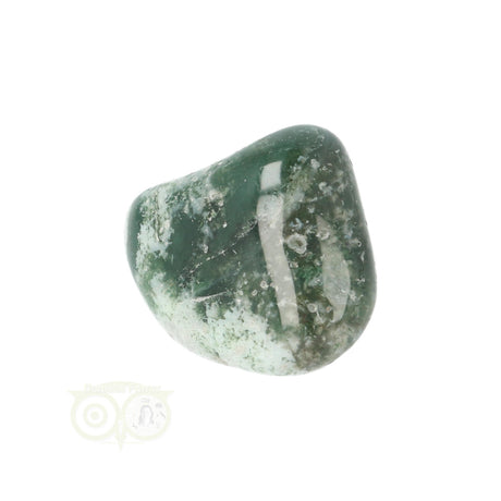 Tree Agate Tumbled Stone No. 18