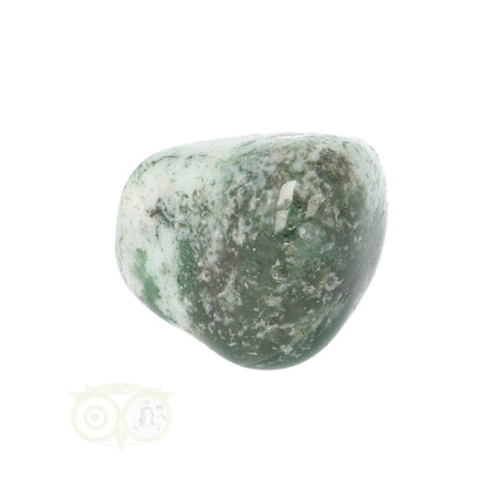 Tree Agate Tumbled Stone No. 18