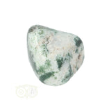 Boom Agaat knuffelsteen Nr 18