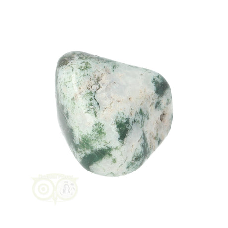 Tree Agate Tumbled Stone No. 18