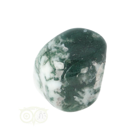 Tree Agate Tumbled Stone No. 20