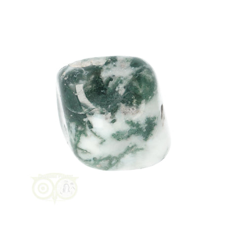 Tree Agate Tumbled Stone No. 20