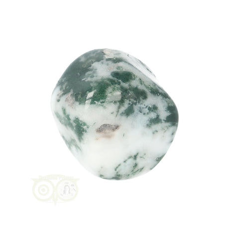 Tree Agate Tumbled Stone No. 20