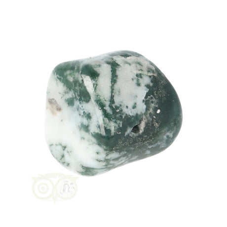 Tree Agate Tumbled Stone No. 20