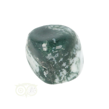 Tree Agate Tumbled Stone No. 20