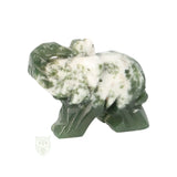 Baumachat-Elefant Nr. 12